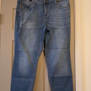 Terra & Sky Women's Straight Leg Jeans - Light Blue